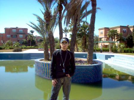 walid